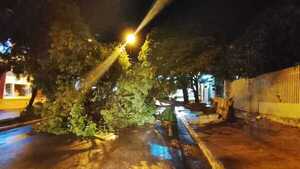 Un fuerte temporal afecta a Concepción y causa daños materiales