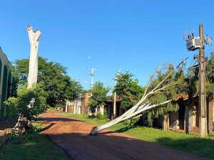 Concepción: temporal destechó casas, derribó árboles y causó daños en columnas de la ANDE - Nacionales - ABC Color