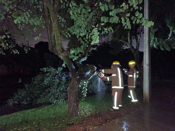 Bomberos voluntarios de Concepción trabajaron toda la noche para despejar calles tras el temporal - Concepción al Día