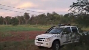 Delincuentes roban todas las lechugas hidropónicas de una finca familiar en Yaguarón