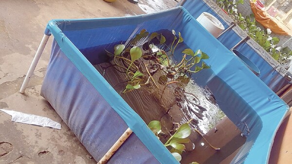 Joven arroyense cría carnadas para pesca en pelopinchos y arma tremendo negocio