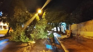 Temporal provocó severos daños materiales en Concepción