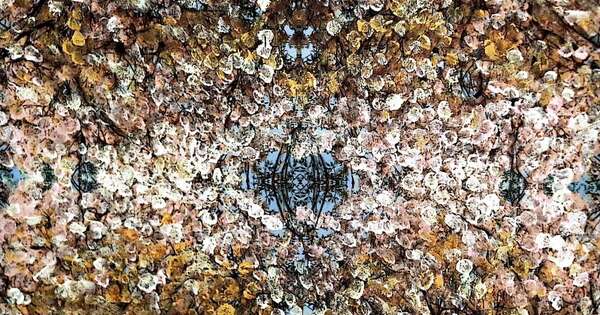 Diario HOY | “Cuencas húmedas”: El arte se une a la defensa del ecosistema en San Bernardino