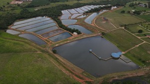 Piscicultura gana terreno como alternativa rentable y sostenible en Paraguay