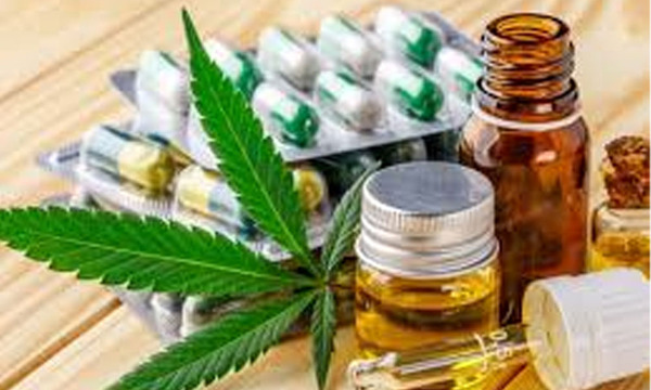 Paraguay habilita marihuana medicinal premium con alto THC bajo receta médica - OviedoPress