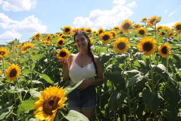 Una plantación de más de 10.000 girasoles en plena floración atrae a visitantes en Cabañas de Caacupé - Nacionales - ABC Color