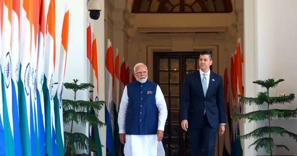 La Nación / Peña destaca potencial de alianza entre India y el Mercosur