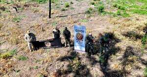 La Nación / Infligen pérdida de unos USD 65 millones al narco