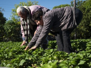 Paraguay será sede de la cumbre de agricultura familiar