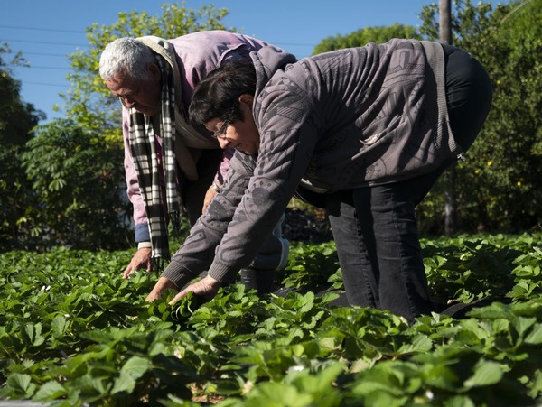 Paraguay será sede de la cumbre de agricultura familiar