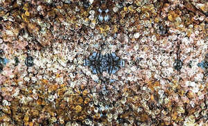 "Cuencas húmedas": Se inaugura el ciclo artístico en San Bernardino