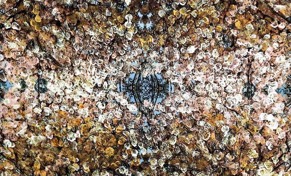 "Cuencas húmedas": Se inaugura el ciclo artístico en San Bernardino