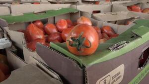 Precios por las nubes: piden al Gobierno habilitar importación de tomates ante escasez y contrabando