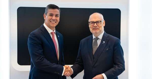 La Nación / Peña dialoga con pares de Estonia y Dominicana sobre gobierno digital, comercio y turismo