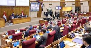 La Nación / Diputados anticipa ajustes en cajas legislativa y fiscal, en medio de movilizaciones