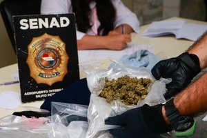 Detectan más de 3 kilos de marihuana en paquetes provenientes de Estados Unidos
