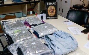 Incautan más de 3 kilos de marihuana y esencia para vapeadores