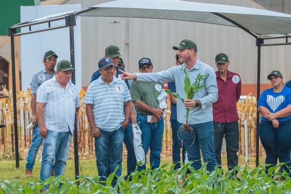 Las principales tendencias que marcan el mercado agropecuario