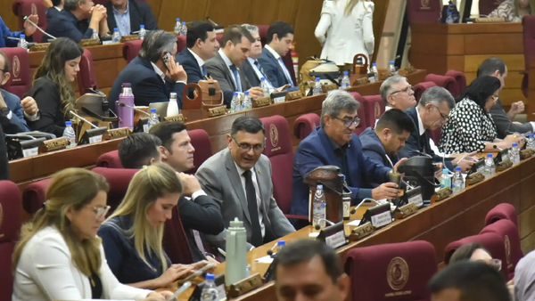 Diputados aprueban la reforma de la Caja Fiscal - Noticiero Paraguay