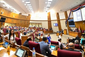 Diputados otorgan media sanción a la reforma de la Caja Fiscal - El Trueno