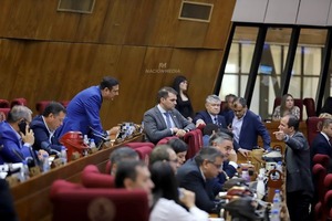 DIPUTADOS DA MEDIA SANCIÓN A LA LEY DE CAJA FISCAL