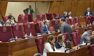 Diputados logran media sanción a la reforma de la Caja Fiscal - OviedoPress