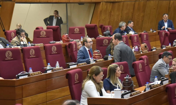 Diputados logran media sanción a la reforma de la Caja Fiscal - OviedoPress