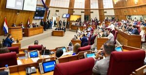 Diputados dan media sanción con modificaciones al proyecto de Reforma de la Caja Fiscal