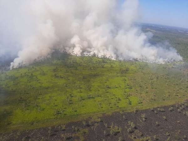 Video: más de 400 hectáreas ya fueron afectadas por incendio en Villa Hayes - Nacionales - ABC Color