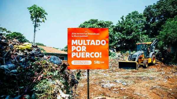 Puercos: Municipalidad recuerda multas por terrenos baldíos ¿En tu zona ya pasaron a limpiar? » San Lorenzo PY