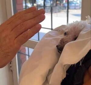 Antes de cruzar el arcoiris, recibió la bendición de un pa'i