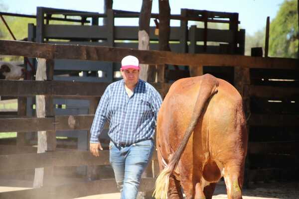 Noguera sobre las estrategias reproductivas: “Hoy un ternero vale tanto que nos obliga a cuidar cada vientre”