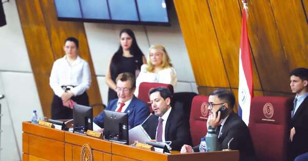 La Nación / Caja Parlamentaria ya no podrá recibir aporte alguno del Estado