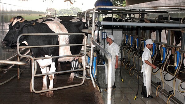 El sector lechero cerró 2025 con un crecimiento moderado del 4%