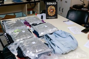 Senad incauta marihuana VIP de EE. UU. en el Pettirossi