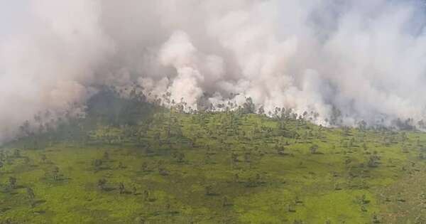 La Nación / Incendio en el Chaco: Ministerio del Ambiente emitió alerta por contaminación de humo
