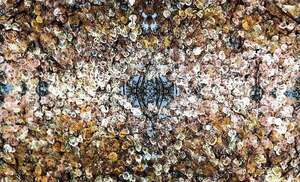 Arte para crear conciencia: “Cuencas Húmedas” se inaugura en San Bernardino - Artes Plásticas - ABC Color