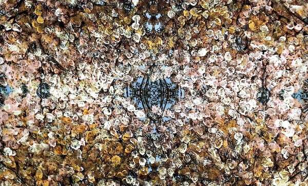 Arte para crear conciencia: “Cuencas Húmedas” se inaugura en San Bernardino - Artes Plásticas - ABC Color