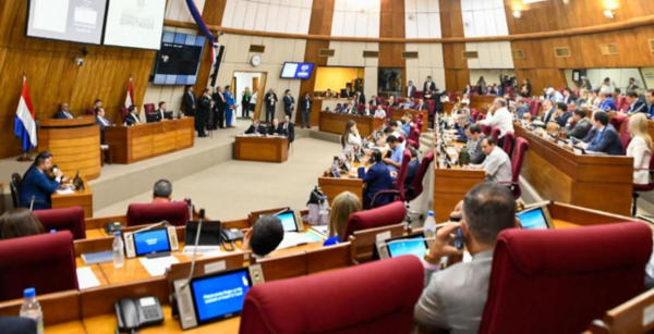 Diputados dan media sanción con modificaciones al proyecto de Reforma de la Caja Fiscal