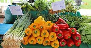 La Nación / Clima favorable marcó un 2025 positivo para la agricultura