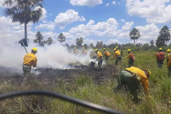 Incendio en Presidente Hayes afectó 500 hectáreas y movilizó a más de un centenar de militares - Noticias del Chaco - ABC Color