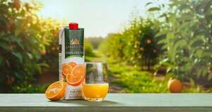 La Nación / Watt’s lanza su nueva línea Selección: un 100% jugo elaborado con frutas seleccionadas