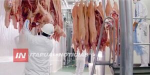EXPORTACIÓN DE CARNE PORCINA MANTIENE CRECIMIENTO SOSTENIDO