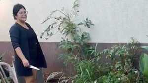 Arrancó las plantas de su vereda y desató un feroz lío con los vecinos