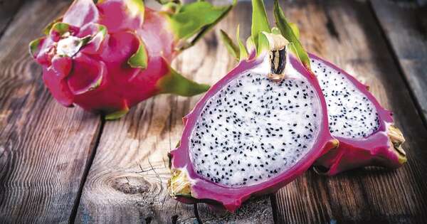 La Nación / La pitahaya: la fruta del dragón que conquista Paraguay