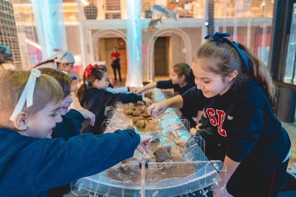 Acceso gratuito para mujeres y niñas en jornada por el Día de la Mujer y la Niña en la Ciencia