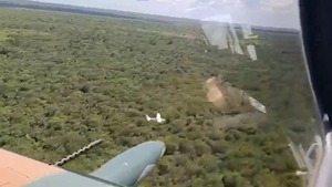 Popular / (VIDEO) Super Tucano persiguió a presunta narcoavioneta