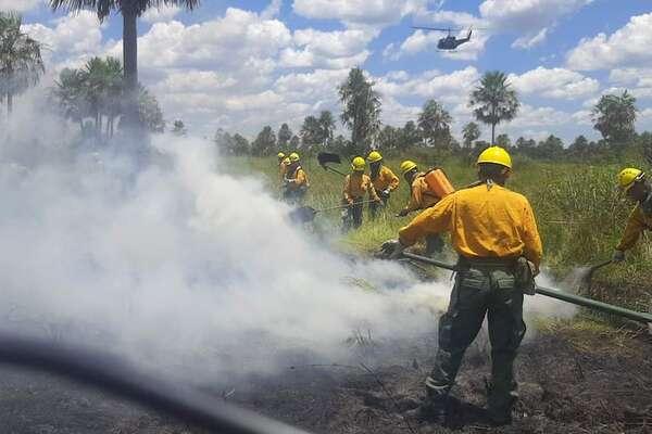 Infona revela cantidad de fuegos activos y transfronterizos que se registran hoy - Nacionales - ABC Color