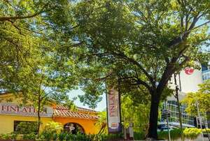 Participación mayoritaria de Toyotoshi, en Finlatina - Empresariales - ABC Color