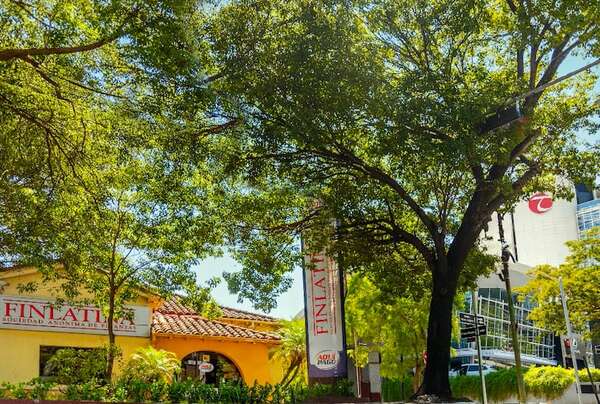 Participación mayoritaria de Toyotoshi, en Finlatina - Empresariales - ABC Color